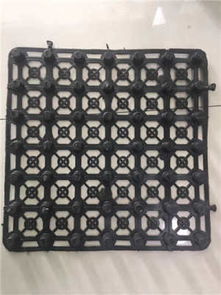 北海種植屋面虹吸排水收集系統(tǒng)結(jié)合針刺地毯創(chuàng)新應(yīng)用成效顯著