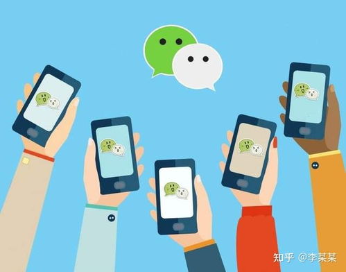 軟件應(yīng)用程序開發(fā)與公司網(wǎng)站建設(shè) 辨析核心差異與戰(zhàn)略選擇