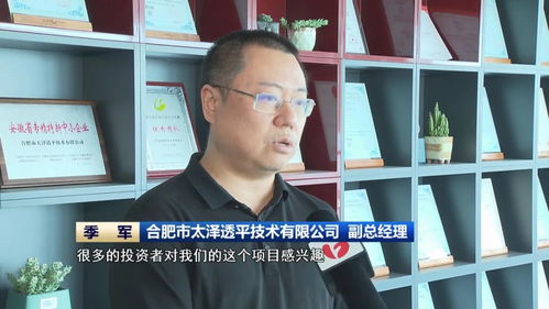 金融賦能，應(yīng)用軟件開發(fā) 安徽制造邁向新質(zhì)生產(chǎn)力的加速器